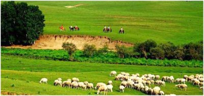 內(nèi)蒙古自治區(qū)兒童醫(yī)院、婦產(chǎn)醫(yī)院及婦幼保健院外遷合建項(xiàng)目?jī)艋到y(tǒng)工程